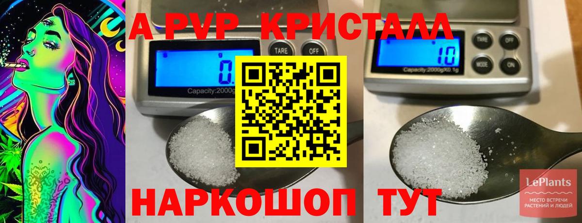 A PVP СК Богородск