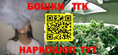 шишки Аргун