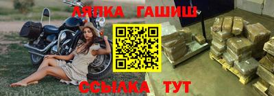 шишки Аргун
